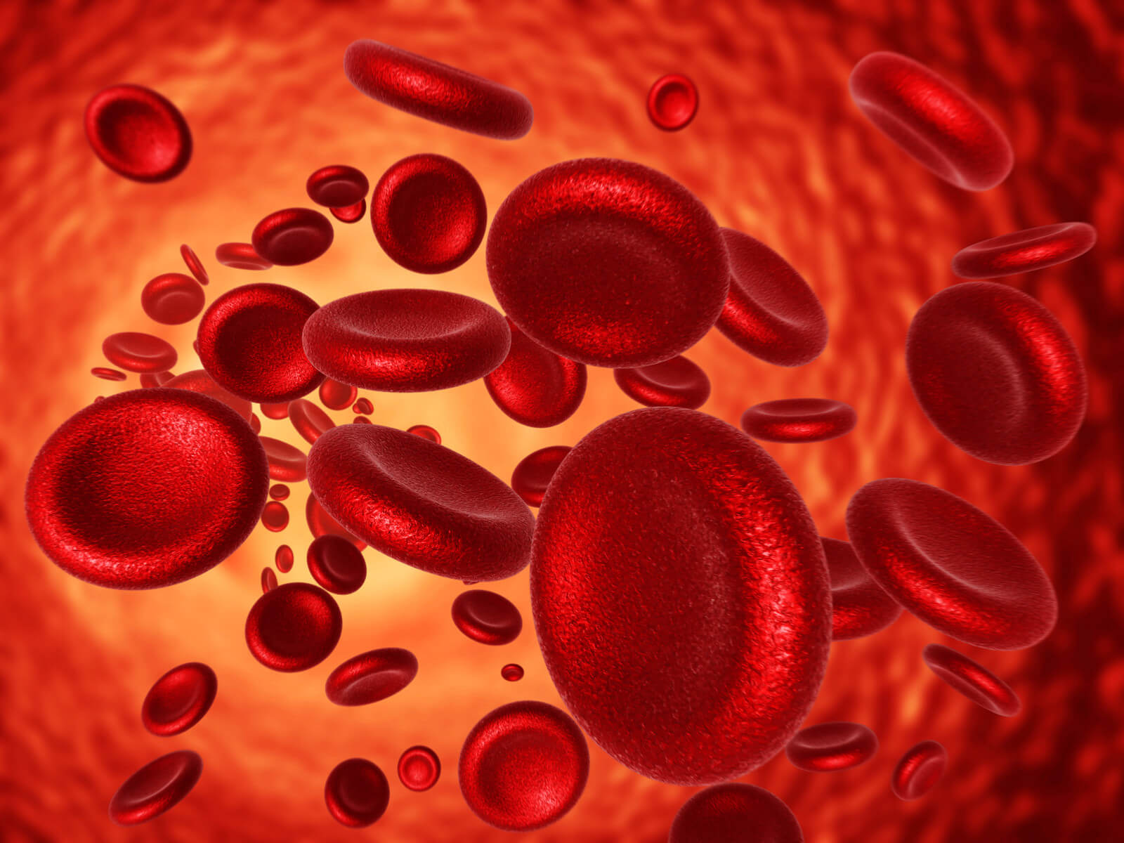How Does Anemia Impact Your Health, Fitness and Performance